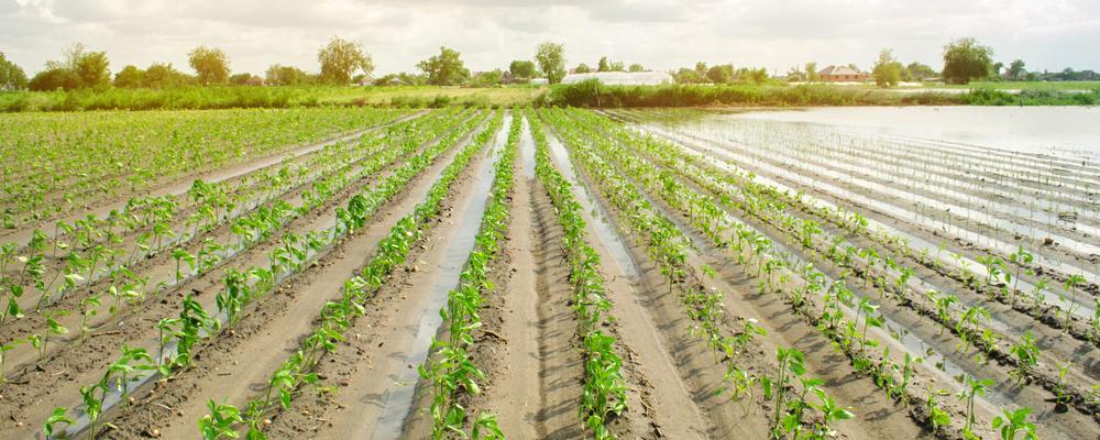 Wisconsin crop insurance lawyer
